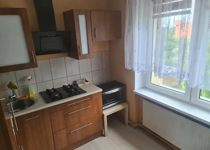 Mieszkanie Do Wynajęcia Słomki Apartament